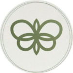 Brandão Governança